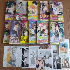 康愛様専用　　春の嵐とモンスター　ミユキ蜜蜂