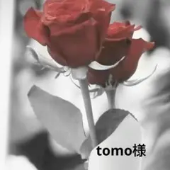 tomo様専用