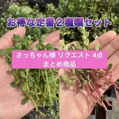 さっちゃん様 リクエスト 4点 まとめ商品