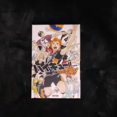 ハイキュー　ボードゲーム　排球援！！