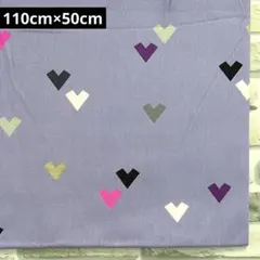 Item thumbnail for item d55cb1db-34a8-434d-97e2-53815002a915