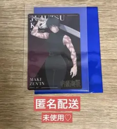 呪術廻戦 大交流展♡トレーディングメタルカード♡禪院真希♡死滅回游