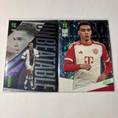 Item thumbnail for item e92ff27a-d472-46cf-867a-1c1c4f6661b5