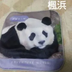 2026年最新】アドベンチャーワールド タオルの人気アイテム - メルカリ