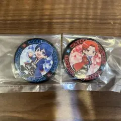 (アイ様専用)ウォーターチャレンジ　缶バッジ