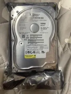 Western Digital WD800BD 80GB HDD 本体