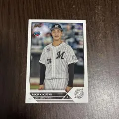 Item thumbnail for item dbb2469e-ab08-4d05-9463-f516ee976f91