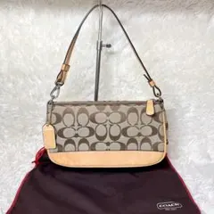 希少色 COACH アクセサリーポーチ ワンショルダー シグネチャー 6348