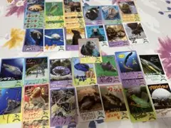 鳥羽水族館 70周年記念 コレクション　カード セット　◎バラ売りも可