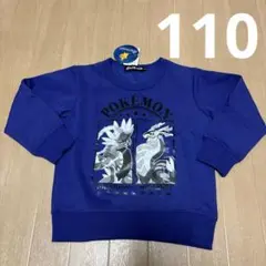 ポケットモンスター 110