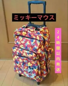 ディズニー柄　ソフトキャリーケース　キャリーカート　旅行かばん　キャリーバッグのサムネイル