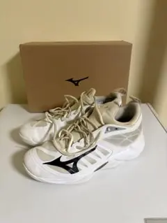 Item thumbnail for item 363dab07-de04-42b7-8720-3a05c16a27ed