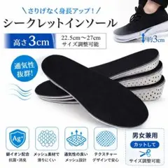 シークレットインソール 3cm 中敷き 身長アップ 抗菌 消臭 サイズ調整可