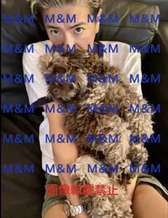 Item thumbnail for item 3d80e6cb-d054-45e8-8e4f-0591fd18fd9a