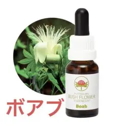 2026年最新】オーストラリア ブッシュ フラワーエッセンスの人気