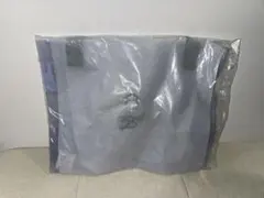 【日本未発売】スターバックス 25周年記念 マレーシア限定‼️ショッピングバッグ