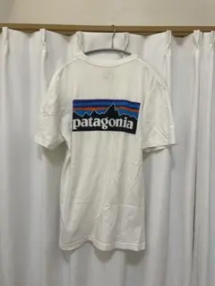 Patagonia 半袖 Tシャツ