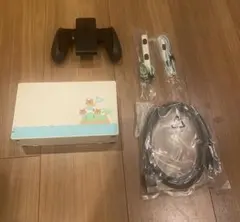 Nintendo Switch どうぶつの森デザイン　任天堂