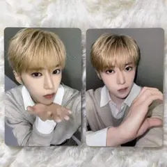 ALD1 アルノ TOUS les JOURS ケーキトレカ A+Bセット