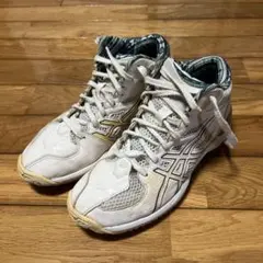 Item thumbnail for item 758eb0d6-6e07-4267-b1ce-44e2b4d7f302