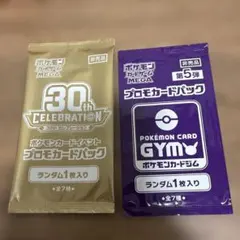 ポケモンカード プロモカードパック 2種セット　④