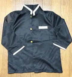 【150サイズ】鬼滅の刃　胡蝶しのぶ　コスプレ衣装セット