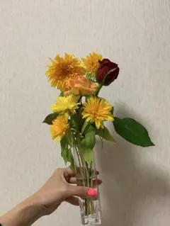 さっちー様専用