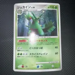 極美品　ジュカイン　エナジートランス　1ed