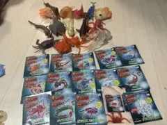 Item thumbnail for item af424281-e8ee-4d1a-868a-03e97ec0e0f8