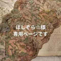 〚 ほしぞら☆様専用ページ 〛