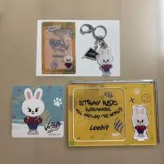 Stray Kids SKZOO Leebit グッズセット