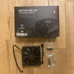 noctua