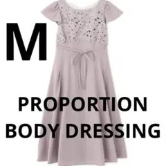 PROPORTION BODY DRESSING⭐︎レース⭐︎ロングワンピース⭐︎M