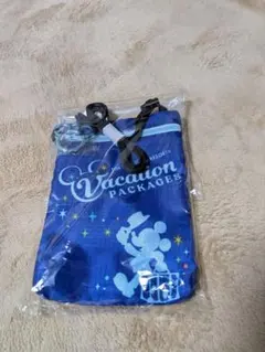 ミッキーマウス ポーチ 青