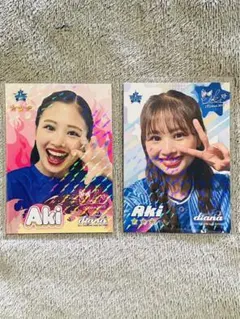 Item thumbnail for item 70d458a7-13d8-434f-aed1-42edf386fde9