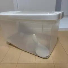 Item thumbnail for item 81320141-3337-4977-ba3d-ce6e99aff637