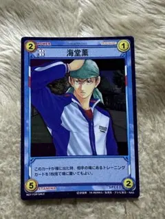テニスの王子様 TCG トレーディングカード レア 氷帝 跡部 青学 手塚