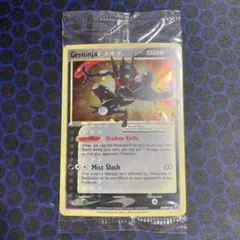 未開封　極美品　ゲッコウガ スター　海外プロモ ポケモンカード海外 色違い ゲッコウガ スター 25thプロモ 未