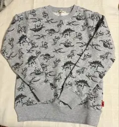 恐竜 長袖140