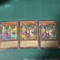 魔術師の弟子 ブラックマジシャンガール【レリーフ】×3枚 魔術師の弟子ブラックマジシャンガール【レリーフ】{ALIN-JP004
