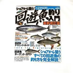 ショアから狙う!!回遊魚釣り入門