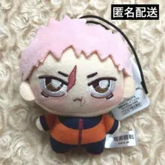 虎杖悠仁　呪術廻戦 ちょぴぬいぷち　マスコット　呪術　ちょぴぬい　虎杖 悠仁