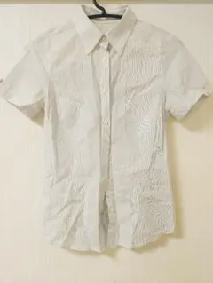 ストライプ 半袖 ボタンダウンシャツ