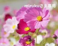 mirukuさま専用ページ4です。
