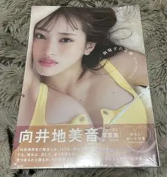 新品未開封 向井地美音 ファースト写真集 胸騒ぎの正体