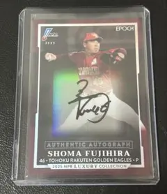 Item thumbnail for item 8ac159c7-4f56-44f1-a930-b1157645951c