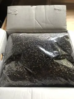 そばがら2.5kg 常陸秋そば そばがら枕