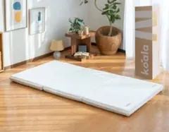 新品/未使用/未開封コアラフトン OASIS