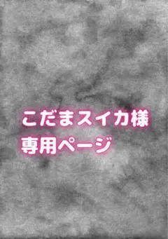 こだまスイカ様専用ページ