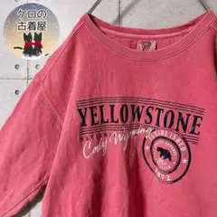 コンフォートカラーズ M メンズ スウェット トレーナー US古着